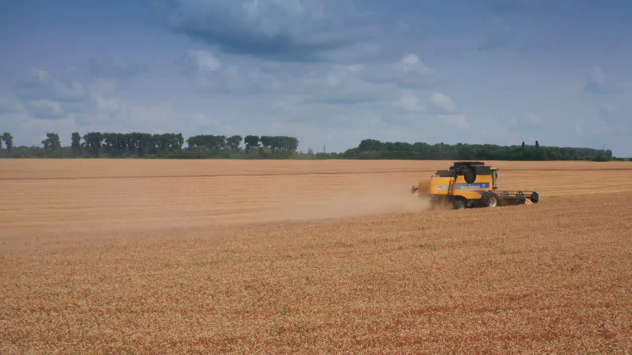 밀밭에서 수확기를 결합하다