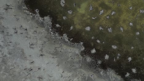 드론 상단 아래로 호수 바닥에 가을 보여, 열 후에 균열 된 땅