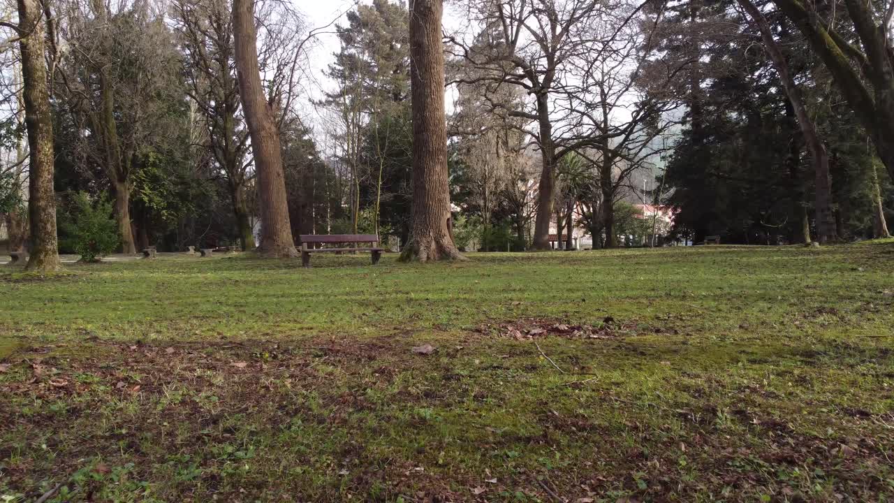 Empty wooden benches in park