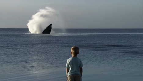 boy looking at the ocean
