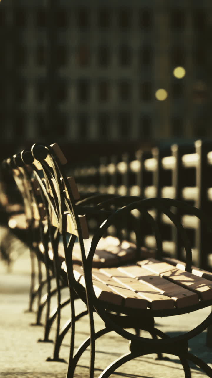 Empty benches line a quiet riverside promenade in the late afternoon light