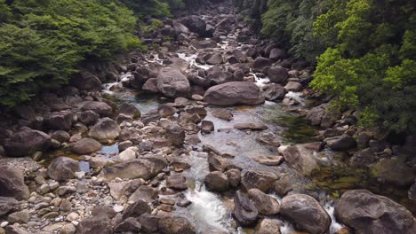 Reiner-Gebirgsstrom-Auf-Der-Insel-Yakushima,-Japan