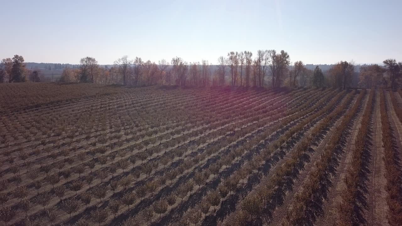 aerial footage of the willamette river south of Portland Oregon and the surrounding farm land. Farm with lots of trees,