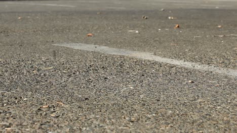 Skateboarder-Walks-by-Camera-in-Parking-Lot-Close-Up-on-Feet-and-Board