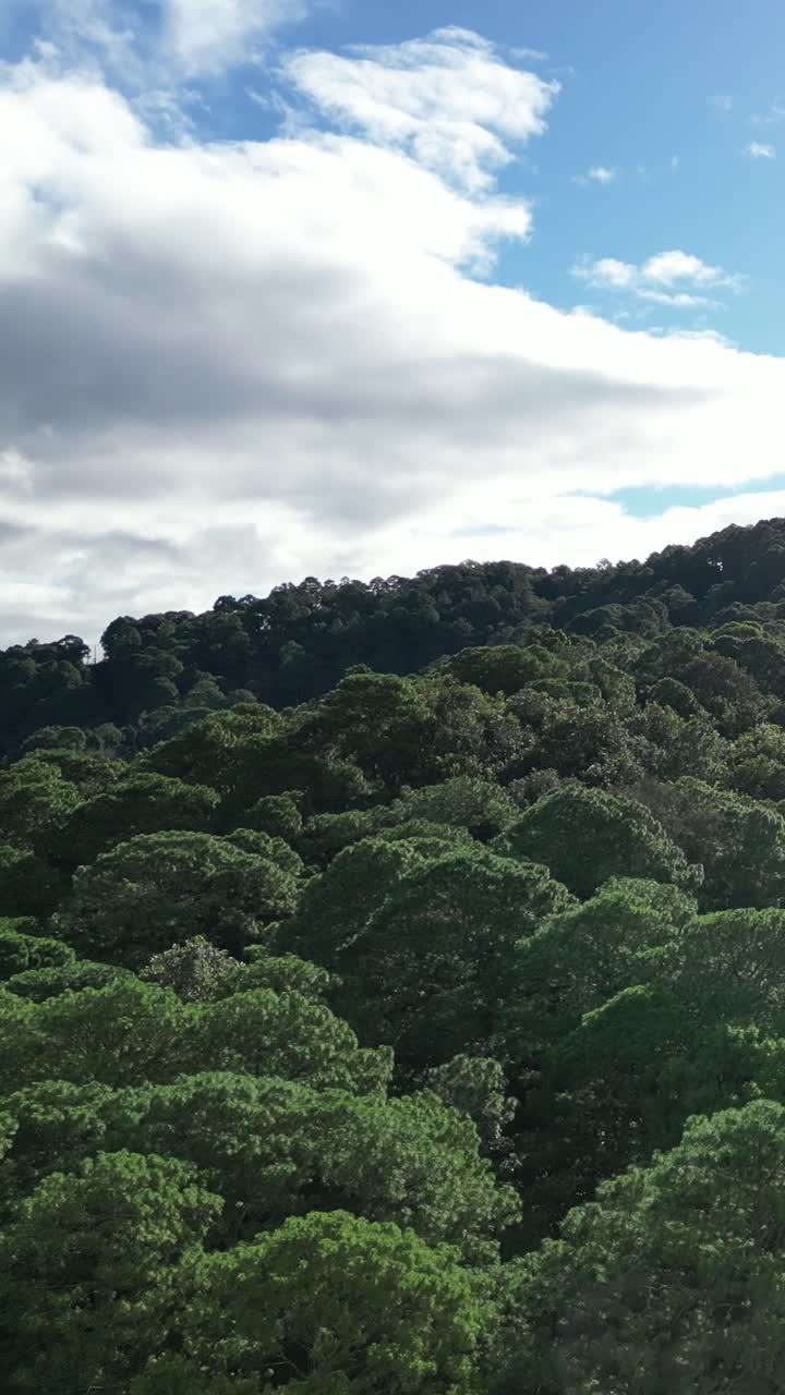 el dron se eleva en el exuberante bosque tropical revelando la ciudad colonial turística de santa lucía, honduras.