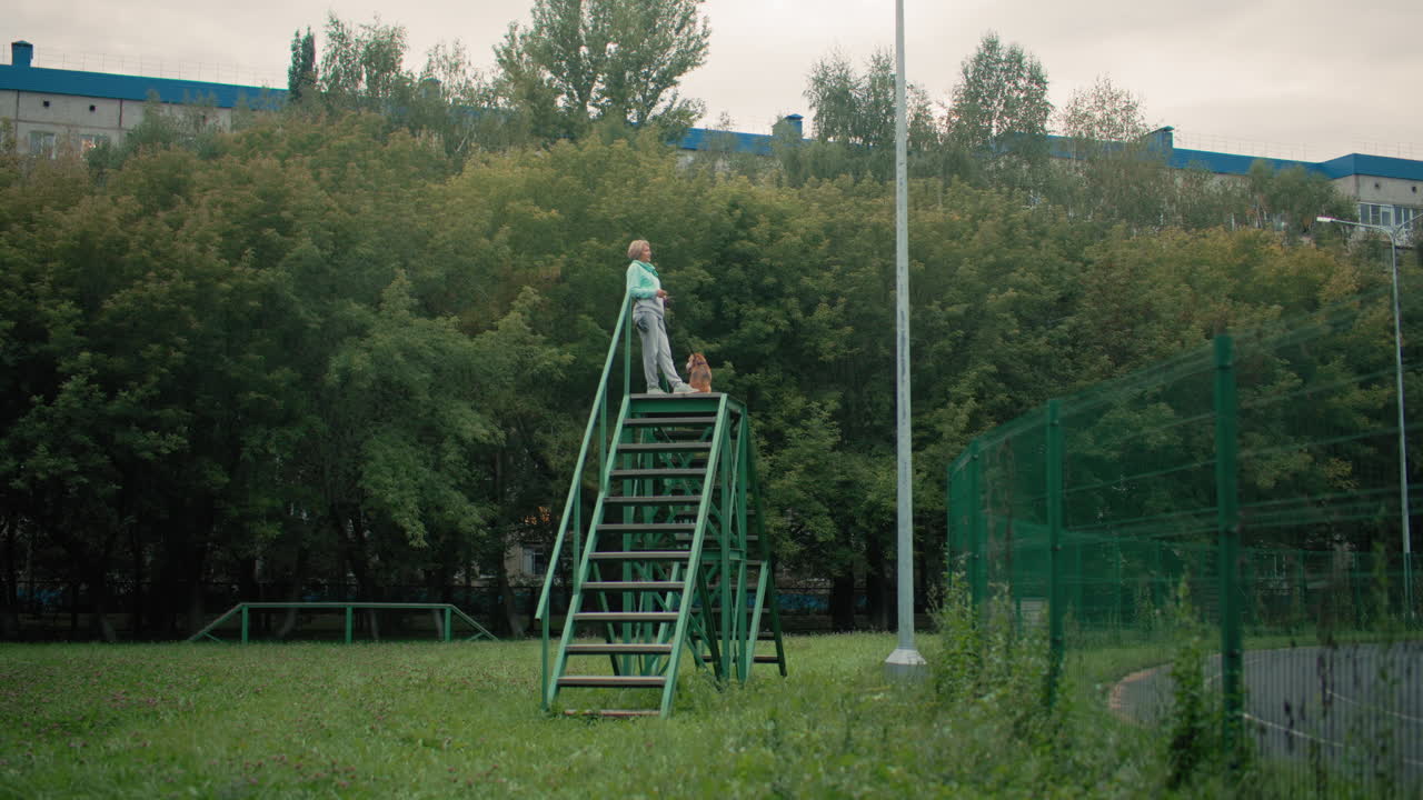 Instructor standing on bench ladder with basenji dog during outdoor training session in green park near tennis court surrounded by trees demonstrating dog obedience and trust under cloudy environment