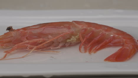 fresh raw red shrimp splashing on water at slow motion