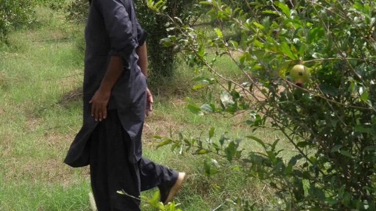 Close up shot of man farmer working in the field