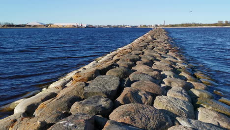 seagull eating fish on rocky pier with coastal cityscape in distance