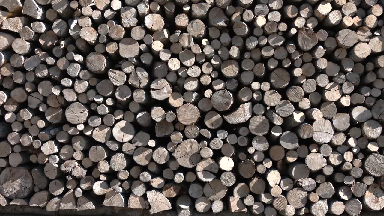 가혹한 각도의 햇빛이 있는 나무 더미