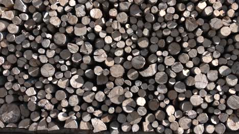 pila de madera con luz solar en ángulo intenso