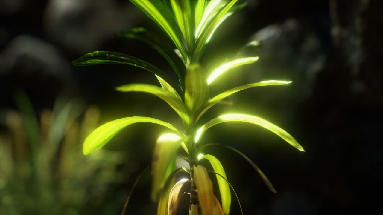 трава и каменная стена на севере англии сельской местности