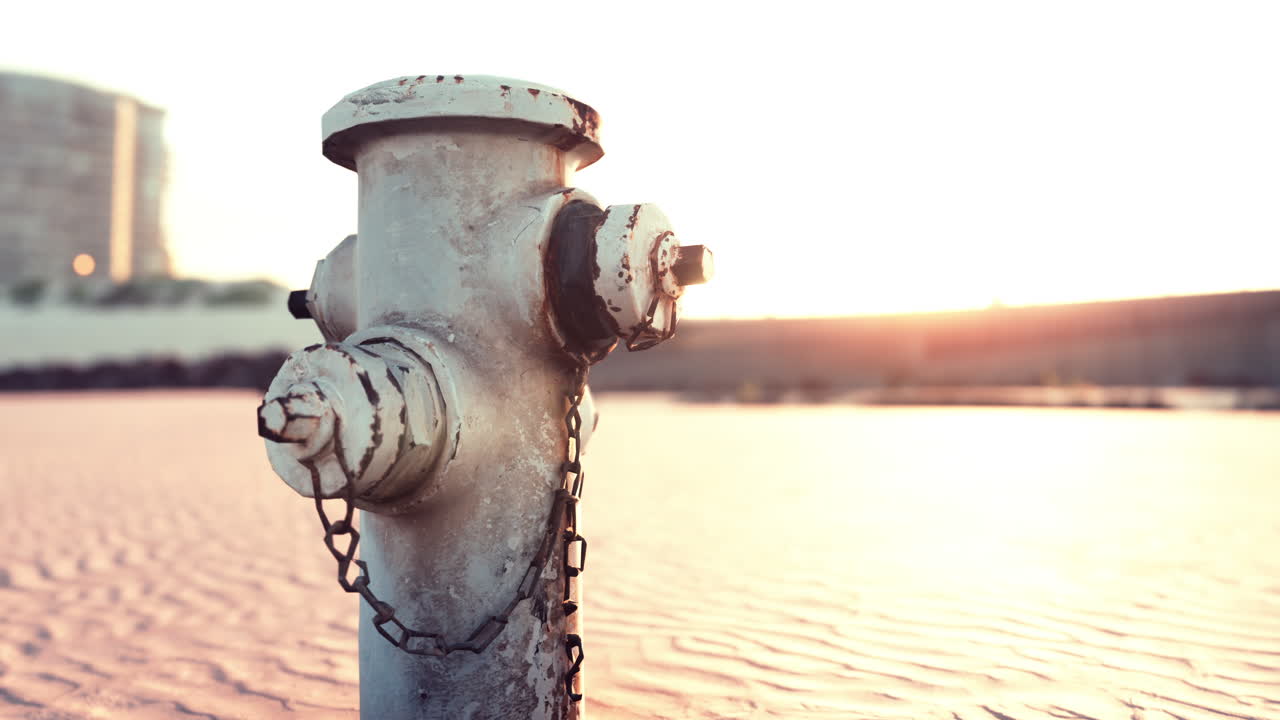 바 ⁇ 가 산책로 에 있는  ⁇ 은 수 ??