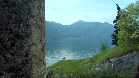 Descubra-Una-Exuberante-Vegetación-Y-árboles-Imponentes-En-Un-Contexto-De-Terreno-Montañoso-Y-Aguas-Cristalinas-En-El-Lago-De-Garda.