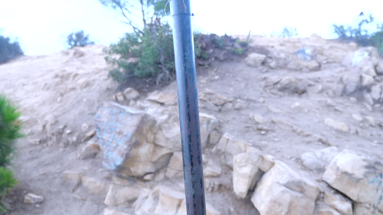 bandera conmemorativa del 11 de septiembre en el árbol de la sabiduría en los ángeles