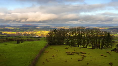 timelapse di terreni agricoli di natura rurale con foresta sulla collina durante la giornata di sole visto da carrowkeel nella contea di sligo in irlanda