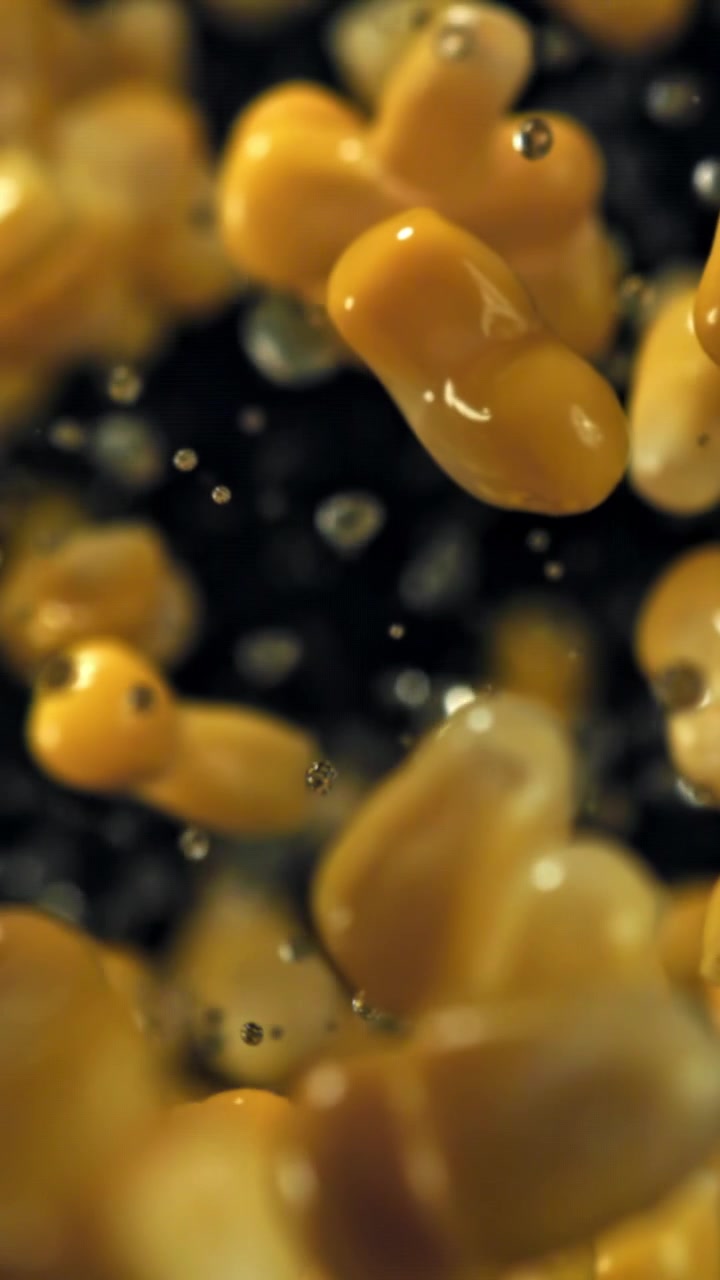 Primo piano al rallentatore di chicchi di mais che galleggiano nel liquido