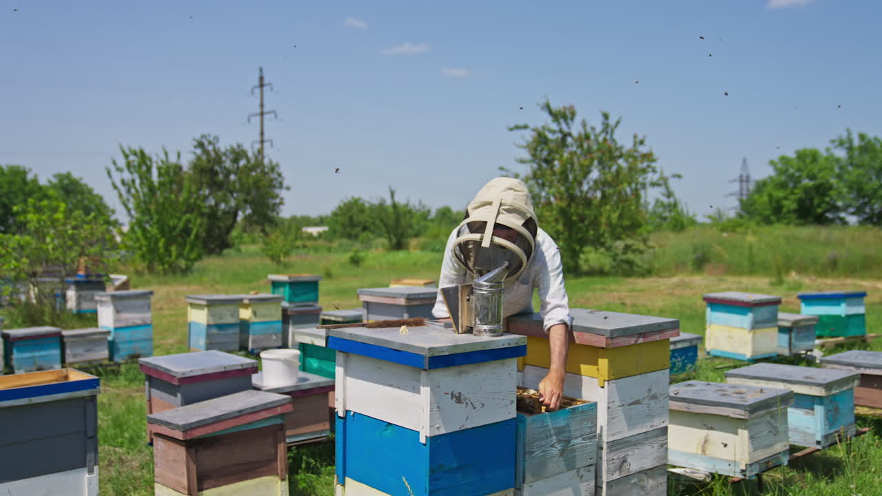 Apiarist checking the frames if they are ready for bee harvesting. Beekeeper holding a frame covered with bee brood. Apiary in the field against blue sky backdrop.