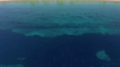 Drone-reveal-shot-of-organised-sandy-bay-with-turquoise-crystal-clear-water-near-lush-pine-tree-forest