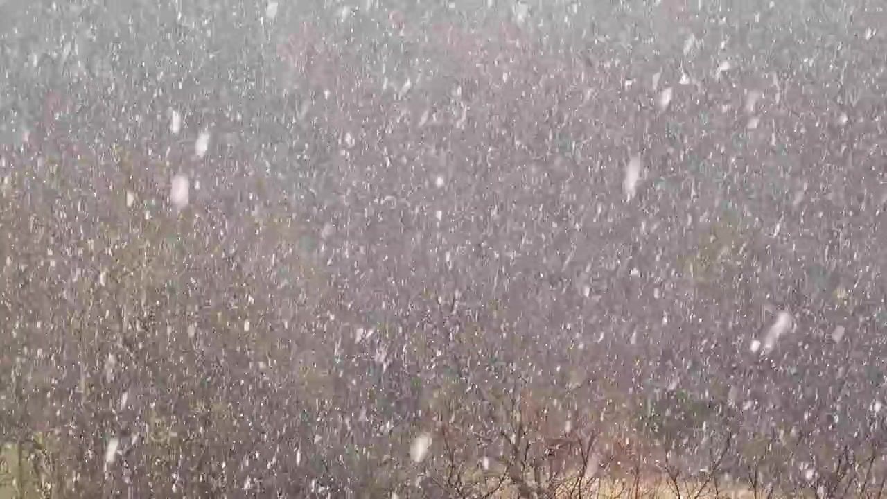 Ventisca en invierno