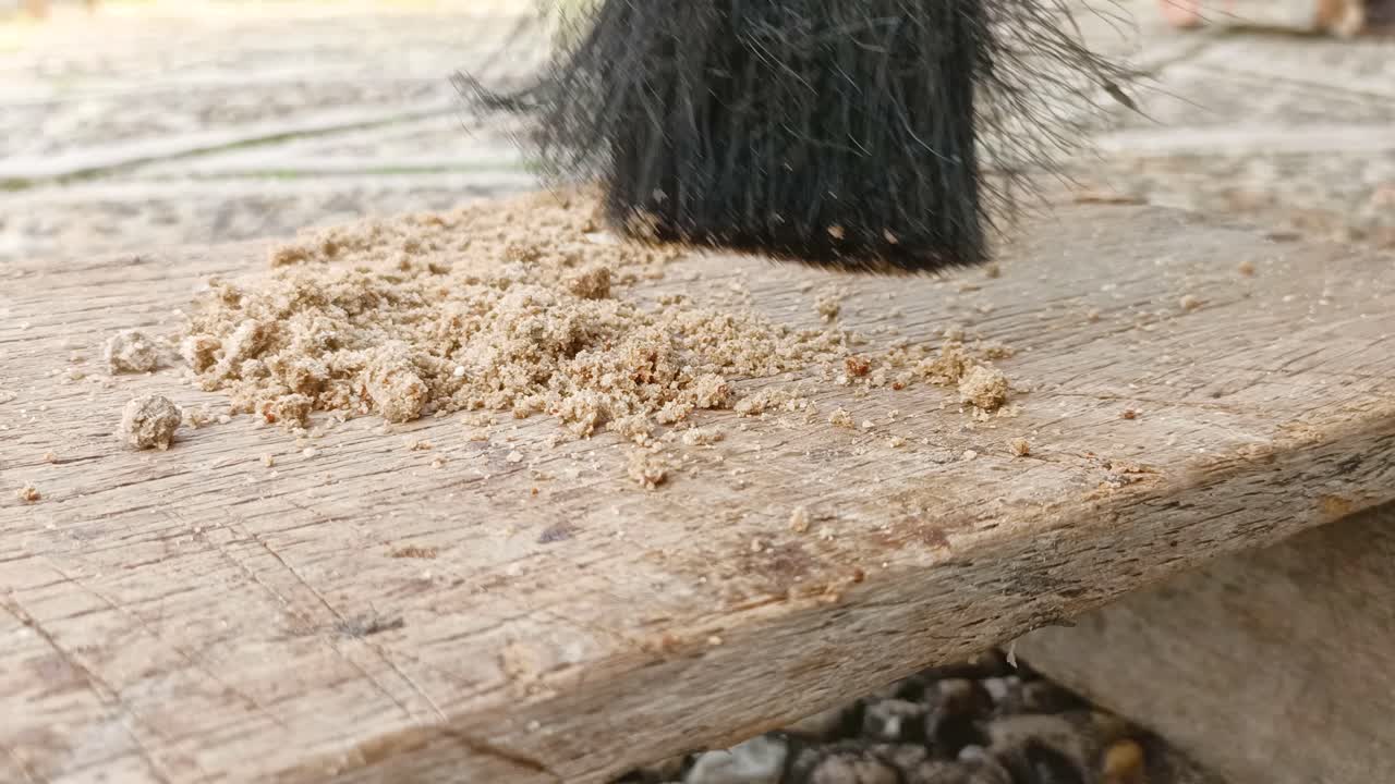 으로 모래를 청소하는 근접