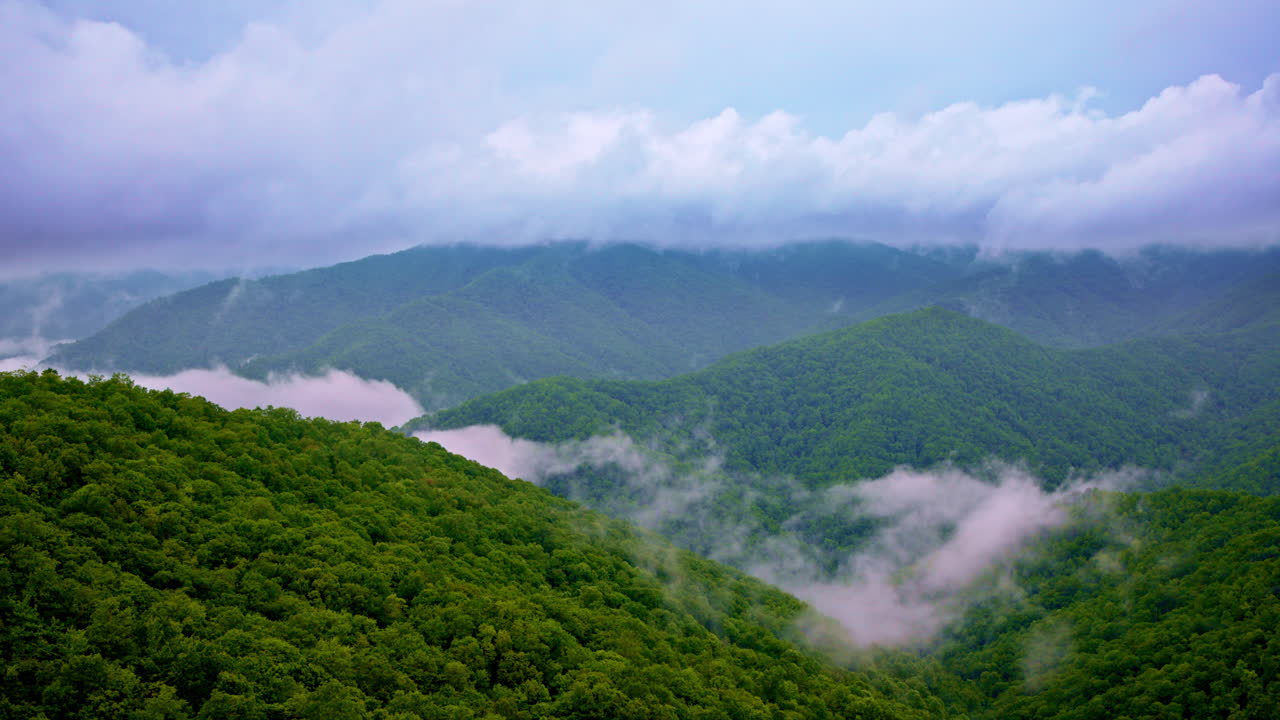 Dense fog shrouds the hills of the Smokies in cinematic fashion