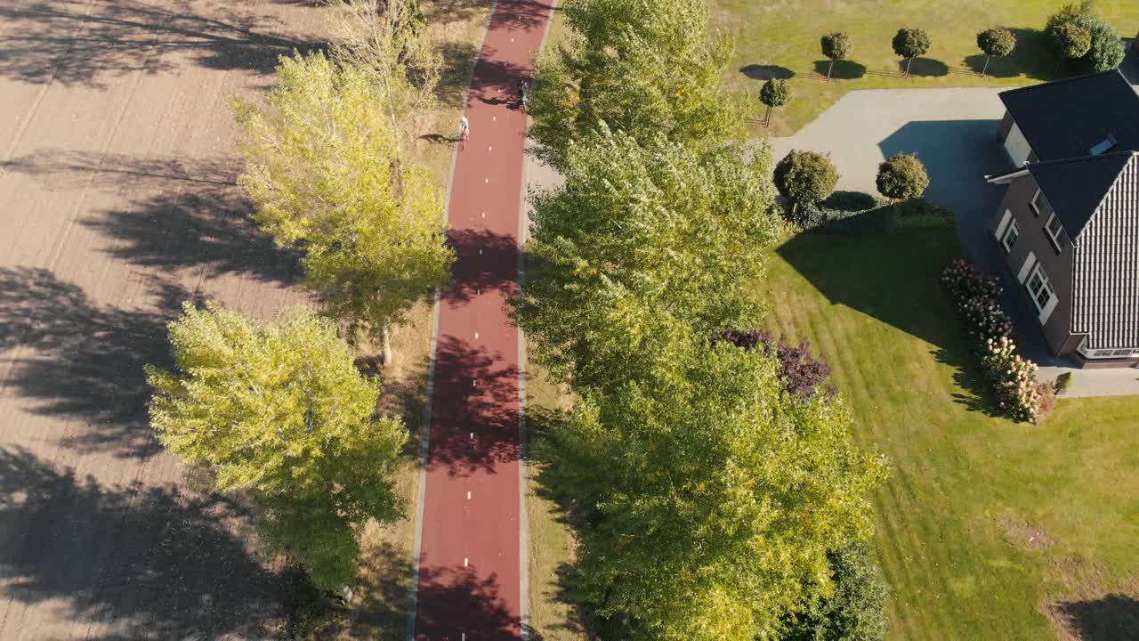 Aerial fixed perspective on a Dutch bicycle freeway in between a lane of tall trees waving in the strong wind with a cyclist passing in a suburban environment