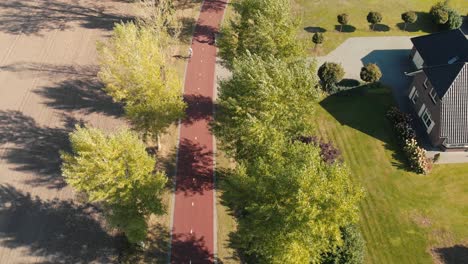 aerial fixed perspective on a dutch bicycle freeway in between a lane of tall trees waving in the strong wind with a cyclist passing in a suburban environment