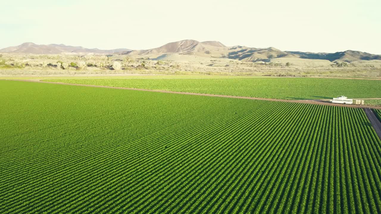 Aerial view of green plants near the Colorado River