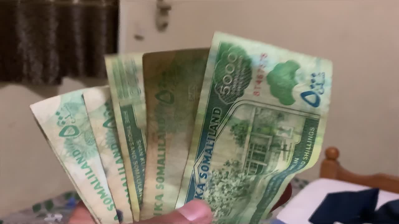 somalilandia chelín dinero billetes en mano 5000