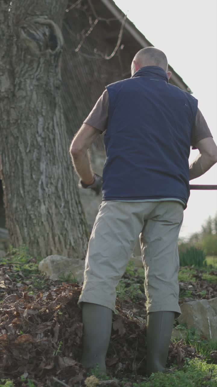 Man raking leaves in the yard