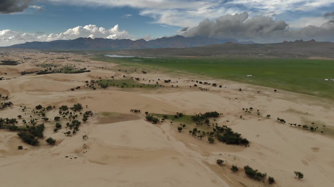 Vista aerea di un vasto paesaggio desertico che incontra verdi praterie