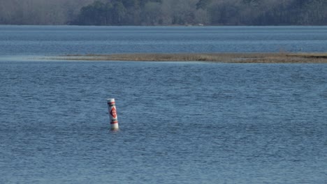 Swimming-buoy-in-a-lake-with-breeze-and-island-in-background-in-winter