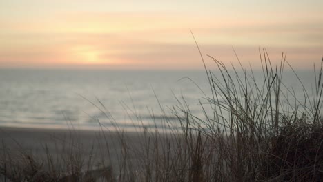 Hierba-De-Dunas-Moviéndose-En-El-Viento-Con-La-Puesta-De-Sol-En-El-Fondo-De-La-Isla-Sylt