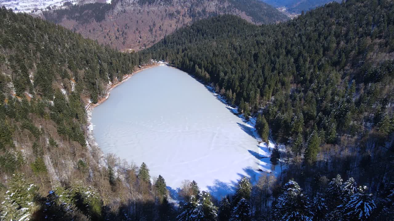 Lake Corbeaux La Bresse France alpine frozen water winter evergreen spruce tree forest, aerial