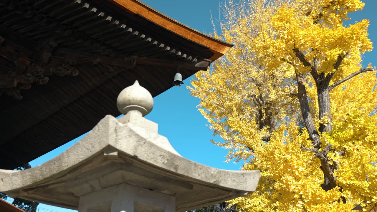 A stunning view of a traditional Japanese temple surrounded by vibrant yellow autumn foliage.