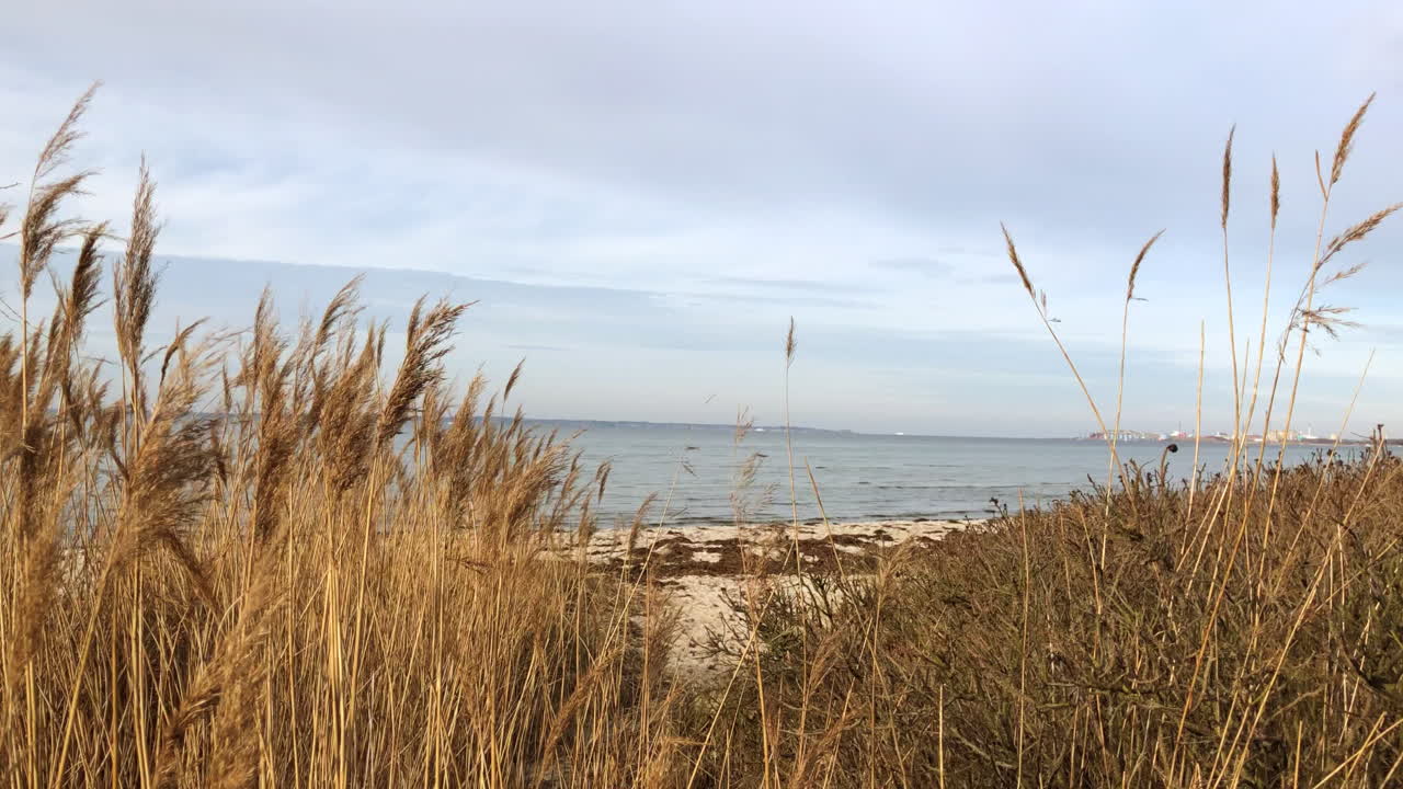 햄튼의 아름다운 해변