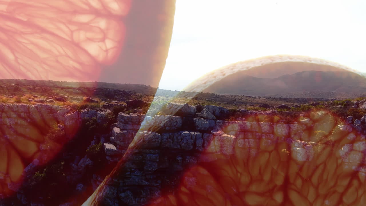 Bright sunlight casting abstract patterns over rocky landscape in animation style