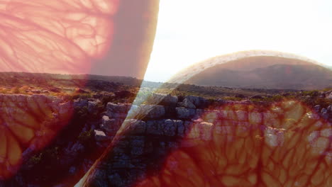 Bright sunlight casting abstract patterns over rocky landscape in animation style
