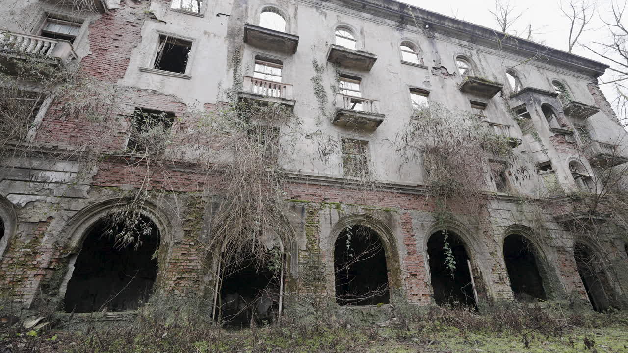 과도한 성장을 가진 버려진 건물
