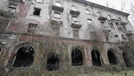 abandoned building with overgrowth