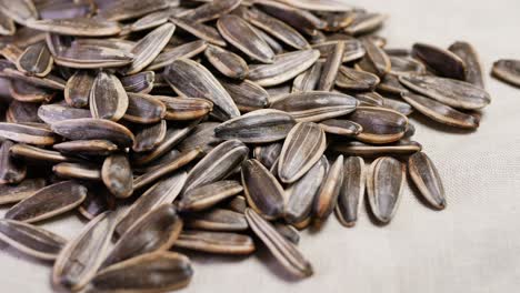 close-up of a pile of sunflower seeds