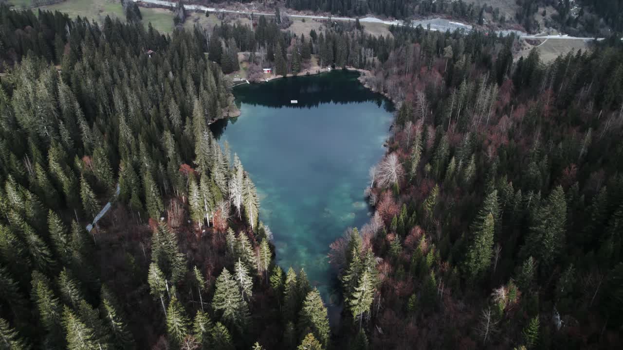 revelación aérea de un lago entre bosques de pinos en un día nublado en suiza