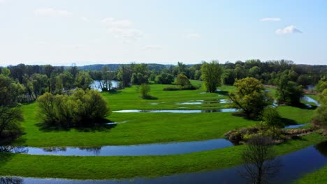 flying over the wetland with trees and green grass in daytime in austria