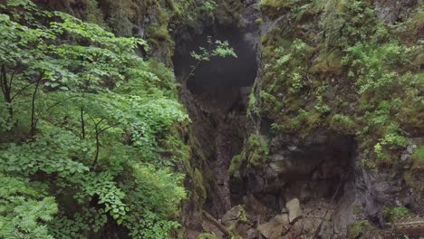 forest cave entrance