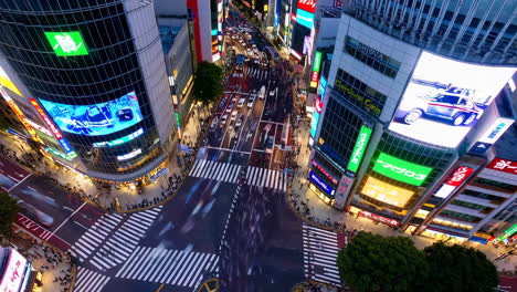 shinjuku crossing at night