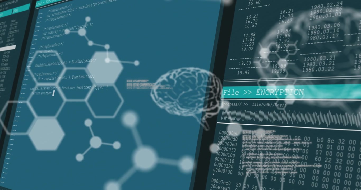 Animation of shapes and brains over data processing