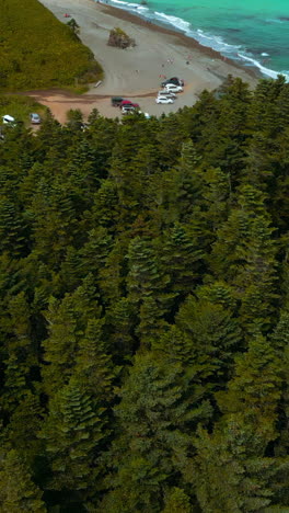 aerial view of a beach with parking and lush forest