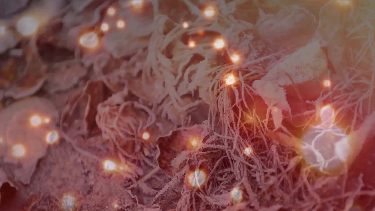 animación de luces de hadas brillantes sobre hojas congeladas