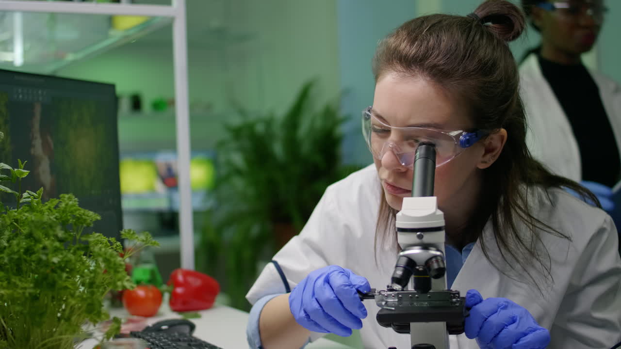 Biologist scientist looking at green leaf sample under microscope